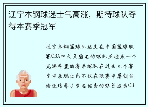 辽宁本钢球迷士气高涨，期待球队夺得本赛季冠军